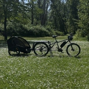 2026 Burley Design Honey bee Black and Black