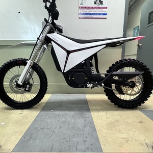 2026 Y-VOLT SURGE V e-motorcycle White