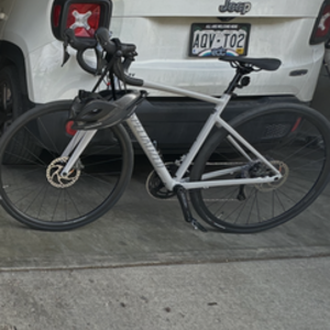 2025 Specialized Allez Sport Silver, gray or bare metal