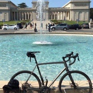 2016 Niner Rlt 9 Silver or Gray