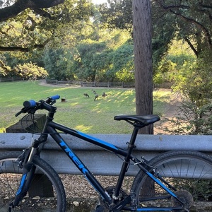 2021 Trek 820 Black and Blue