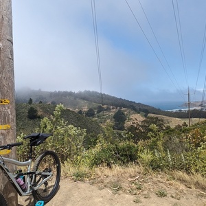 2022 Ibis Ripmo AF SLX Silver, gray or bare metal
