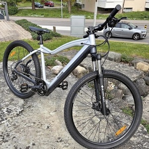 Allegro Allegro E-Mountainbike Invisible AXIM... Silver, gray or bare metal y Black