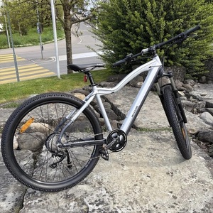 Allegro Allegro E-Mountainbike Invisible AXIM... Silver, gray or bare metal y Black