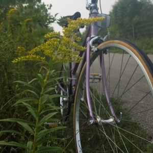 1985 Fuji Absolute Purple