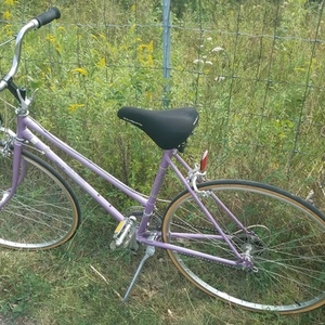 1985 Fuji Absolute Purple