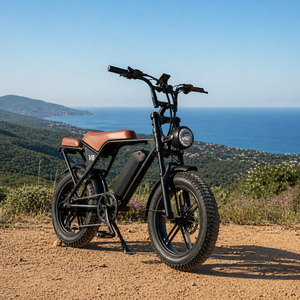 2026 OUXI V8 Black and Brown