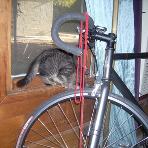 Raleigh Single speed Silver, gray or bare metal and Teal