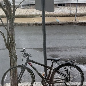 Trek Alpha Black