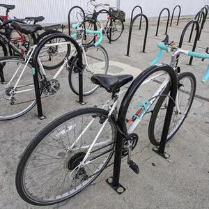 Bianchi Volpe White