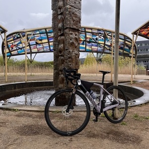2024 Canyon bicycles Grail Purple and Black