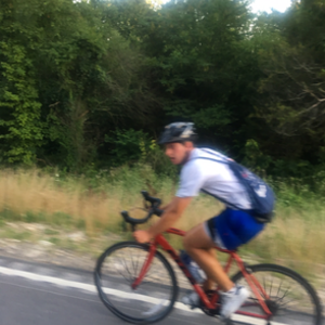 Fuji Sportif 2.3 C Red