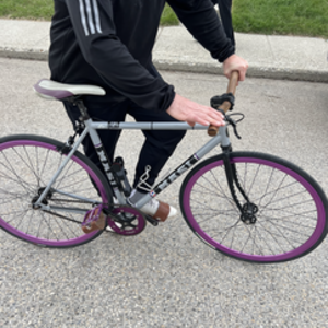 2009 Masi Speciale Fixed Silver, gray or bare metal and Purple