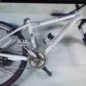 2020 Specialized Rockhopper Comp