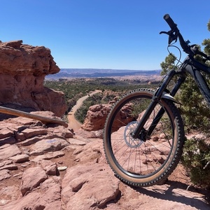 2021 Specialized Stumpjumper Alloy Black
