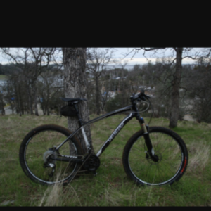 Specialized Stumpjumper Blue and Silver or Gray