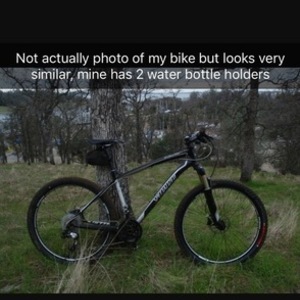 Specialized Stumpjumper Blue and Silver or Gray