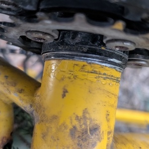 2026 Big Cat Bikes Surly Yellow or Gold