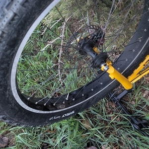 2026 Big Cat Bikes Surly Yellow or Gold
