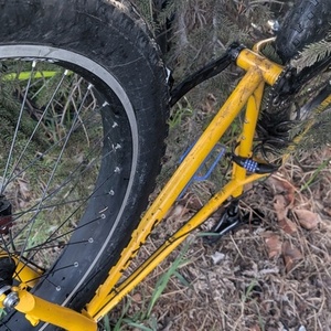 2026 Big Cat Bikes Surly Yellow or Gold