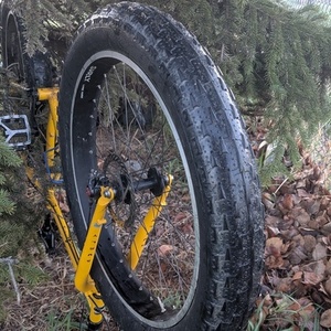 2026 Big Cat Bikes Surly Yellow or Gold