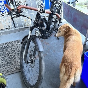 Cannondale Tesoro Neo X3 Black