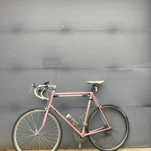 1988 Schwinn Prelude