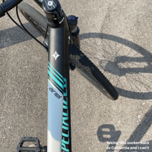2010 Specialized Ariel Black and Teal