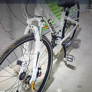 2025 Giant Contend Roam w1 White, Black, and Green