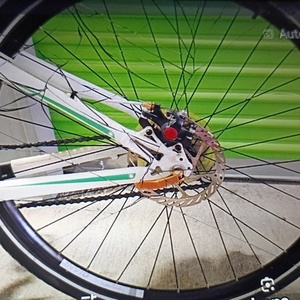 2025 Giant Contend Roam w1 White, Black, and Green