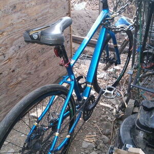 Diamondback Blue and Black