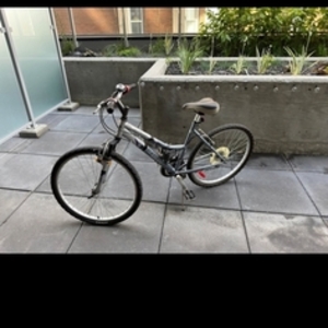 2026 Infinity Cycle Works Infinity Tofino Silver, gray or bare metal