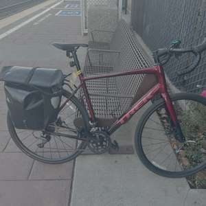 2024 Trek Domane AL 2 Red