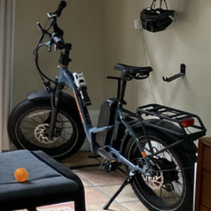 2024 Rad Power Bikes RadExpand Blue