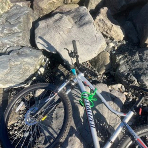 2017 Specialized Jynx 650B Silver, gray or bare metal