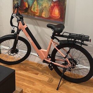 2025 Qlife Cityone Pink
