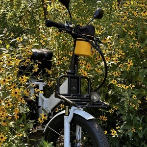 Lectric eBikes Xp step through White