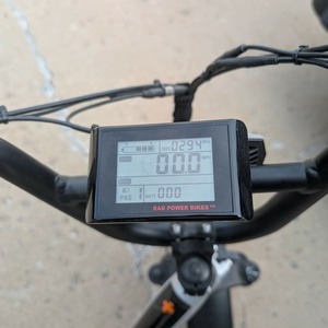 2022 Rad Power Bikes Rad runner 2 Silver, gray or bare metal