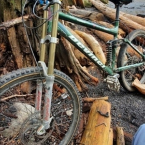 2009 Devinci Remix 1 Green