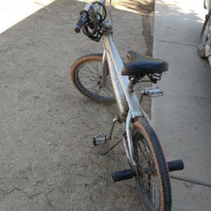 mongoose Silver or Gray