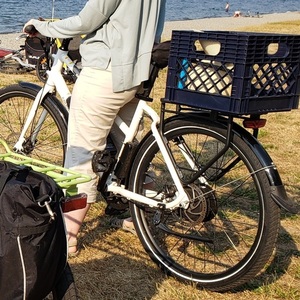 2022 Rad Power Bikes RadMission White