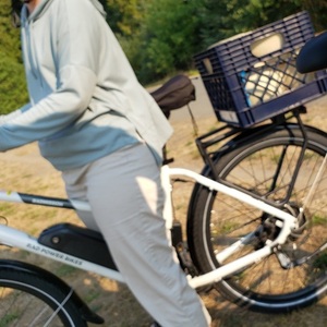 2022 Rad Power Bikes RadMission White