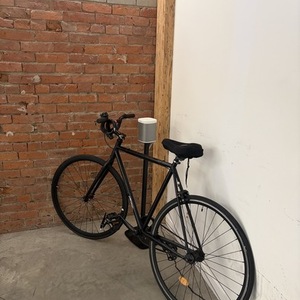 Critical Cycles Single speed Black