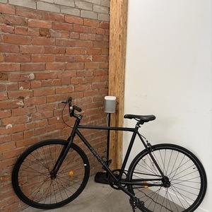 Critical Cycles Single speed Black