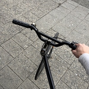 Critical Cycles Single speed Black