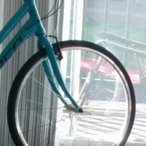 Norco Bikes Teal