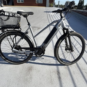 2025 Gazelle Ultimate C380+ Silver, gray or bare metal