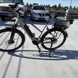 2025 Gazelle Ultimate C380+ Silver, gray or bare metal