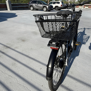 2025 Gazelle Ultimate C380+ Silver, gray or bare metal