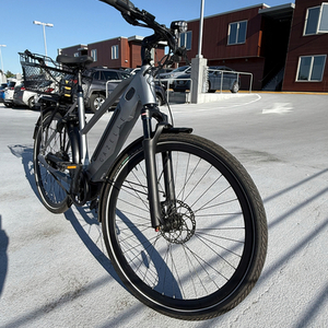 2025 Gazelle Ultimate C380+ Silver, gray or bare metal